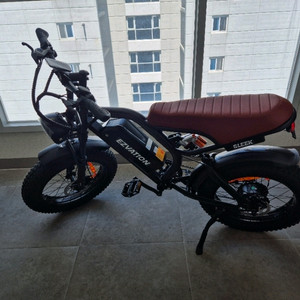 전기자전거 850W 48V 자토바이 이지베이션 이미지