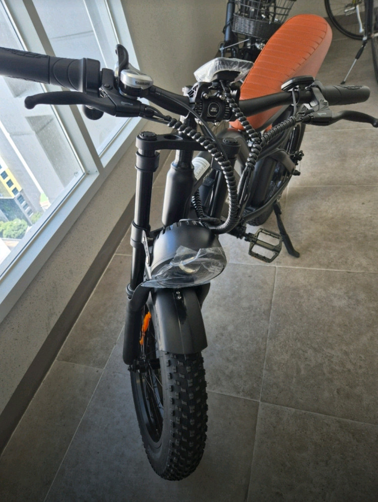 전기자전거 850W 48V 자토바이 이지베이션 이미지
