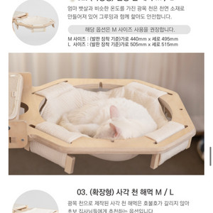 그린웨일 원형 천해먹 m 이미지