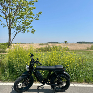 엑스라이더 x200듀오 전기자전거 팝니다 이미지