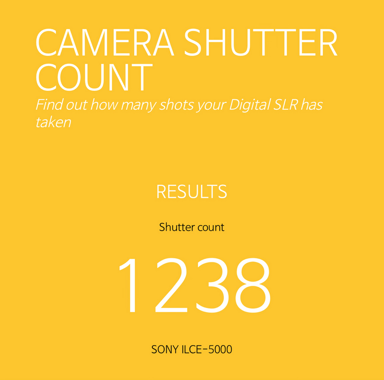 소니 a5000 미러리스 카메라 세트 컷수 1,238 이미지