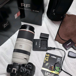 캐논 카메라 r6mark2 + RF100-500 + RF35mm F1.8 이미지