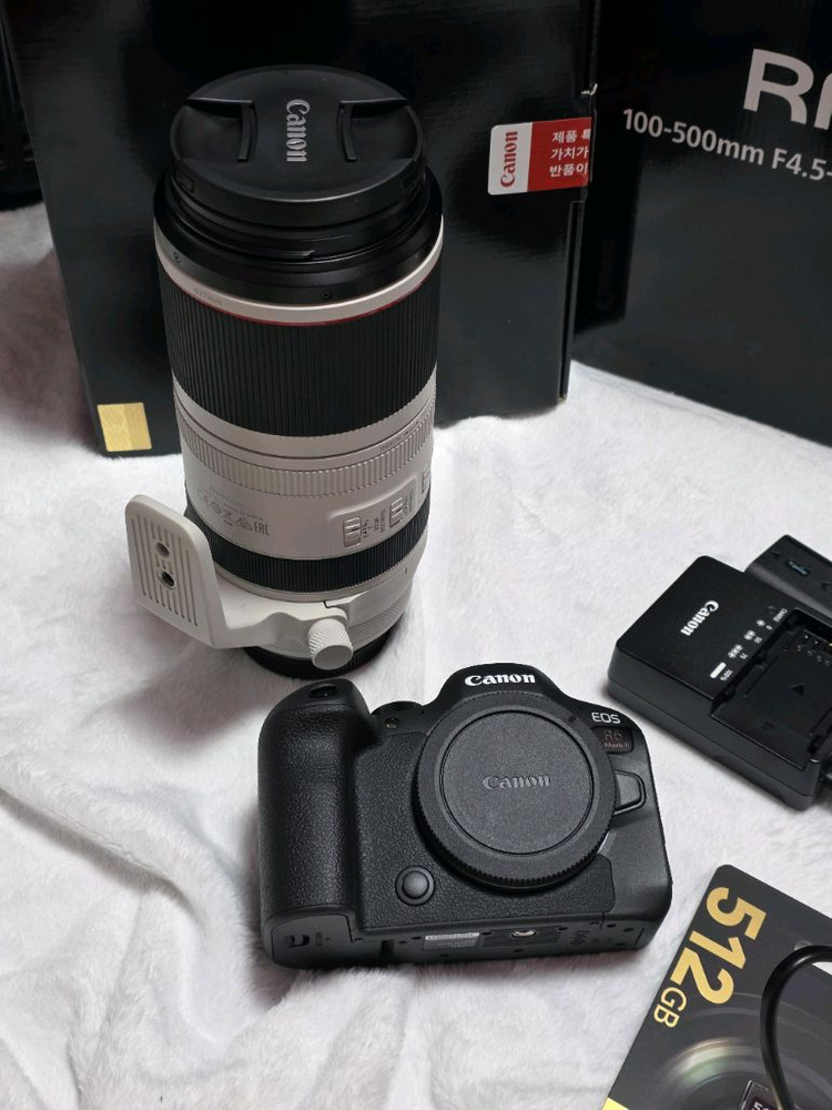 캐논 카메라 r6mark2 + RF100-500 + RF35mm F1.8 이미지