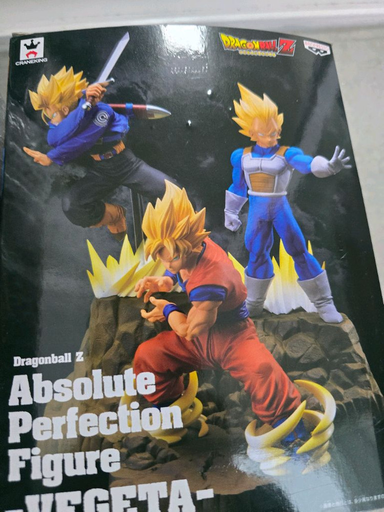 드래곤볼 Z 앱솔루트 퍼펙션 피규어(Absolute Perfection) 이미지