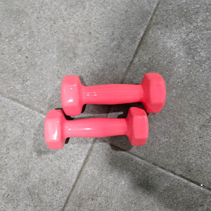 핑크 덤벨 1kg 2개 가격 이미지