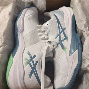 아식스 스카이엘리트FF3 250 이미지