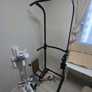 TANI 가정용 철봉 풀업바 치닝디핑 운동기구 블랙 이미지