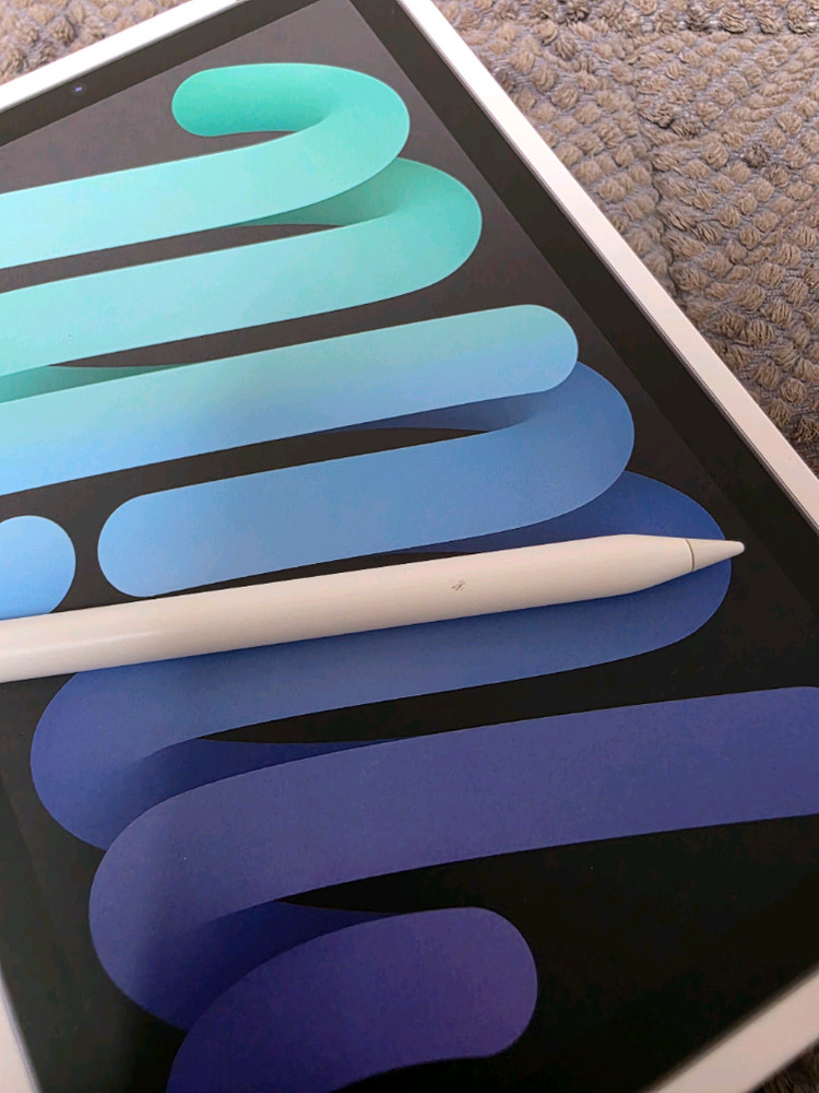 아이패드미니6 + 애플펜슬2세대 이미지