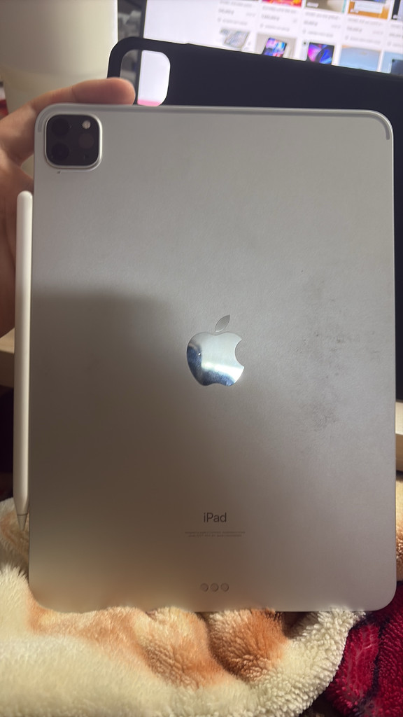 아이패드 프로 11 3세대 wifi 256GB 이미지