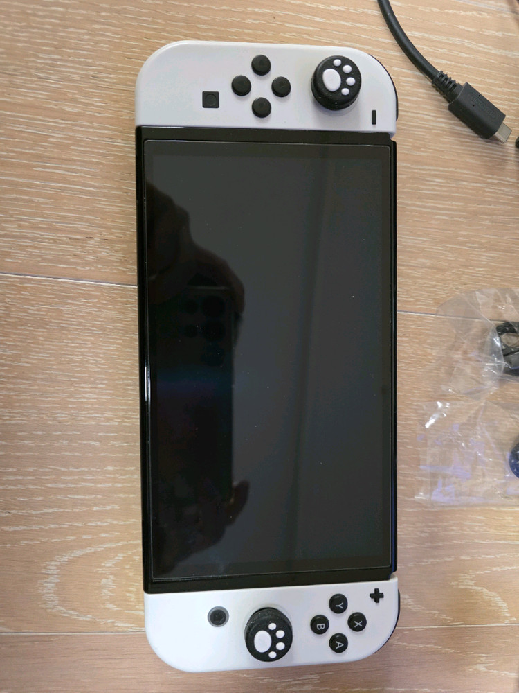 닌텐도 스위치oled 이미지