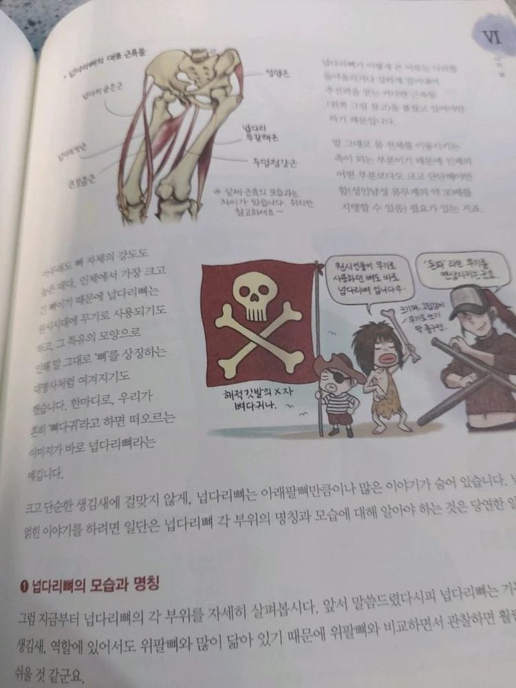 석가의 해부학 노트 이미지