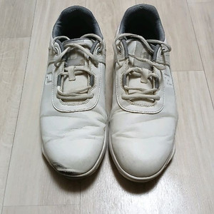 남성신발 나이키 에어 골프화겸 운동화 이미지