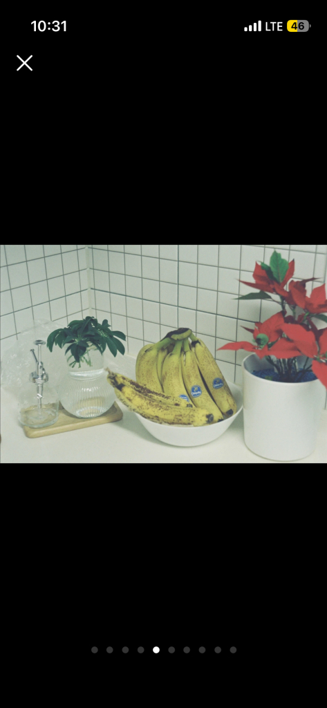 라이카 바르낙 iiif 필름 카메라 + 주미타 f2/50mm 렌즈 이미지