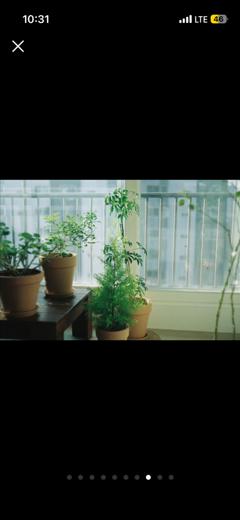 라이카 바르낙 iiif 필름 카메라 + 주미타 f2/50mm 렌즈 이미지