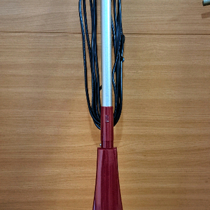 한경희 스팀 물걸레 청소기겸 먼지청소기 이미지