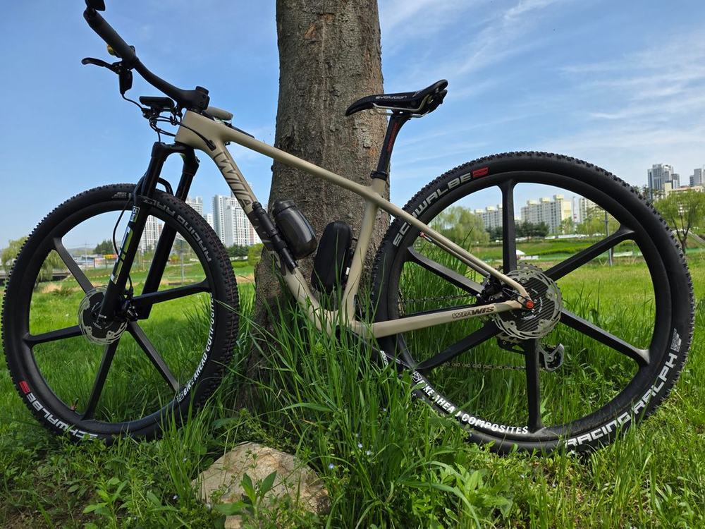 MTB 위아이스 29 이미지