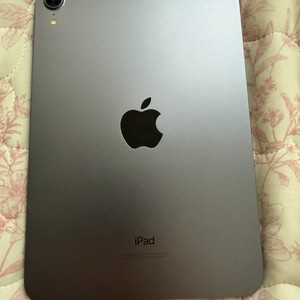 아이패드 미니 6 미니 6세대 퍼플 이미지