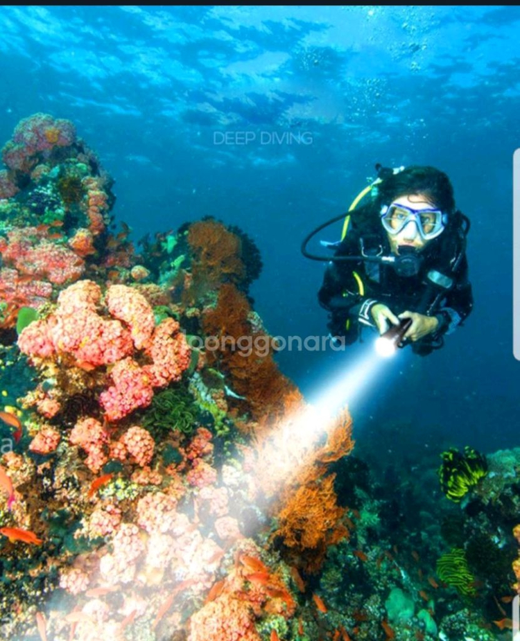 방수랜턴(충전지2알 포함).방수손전등.다이빙 랜턴 이미지