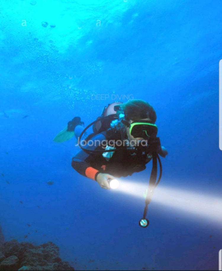 방수랜턴(충전지2알 포함).방수손전등.다이빙 랜턴 이미지