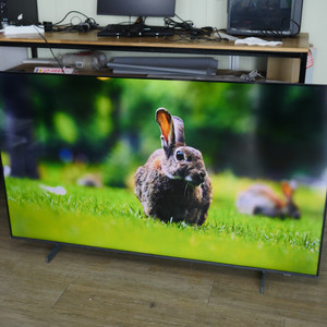 삼성 65인치 4K UHD TV 스탠드형 사이니지 LH65BEFHLGFXKR 이미지