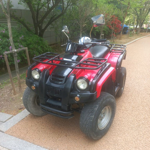 대림 125cc 4륜 오토 이미지