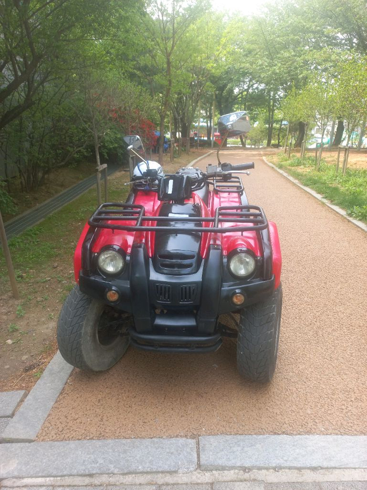대림 125cc 4륜 오토 이미지