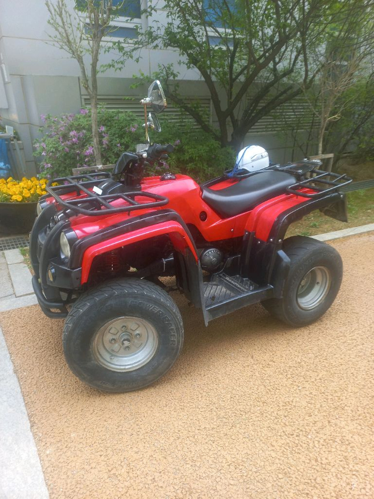 대림 125cc 4륜 오토 이미지