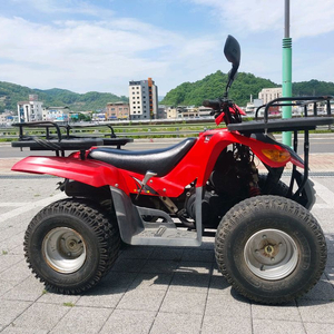 대림 사발이 올코트100 atv팝니다 이미지