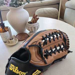 야구글러브 이미지