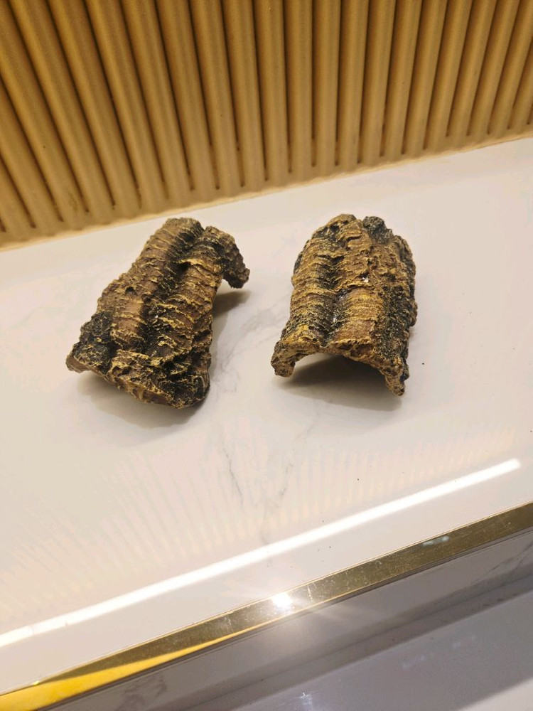 [파충류] 크레 은신처 (도마뱀 인조 코르크보드 겸용) 이미지