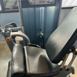 뉴텍,매트릭스울트라 레그익스텐션,컬 팝니다. 이미지