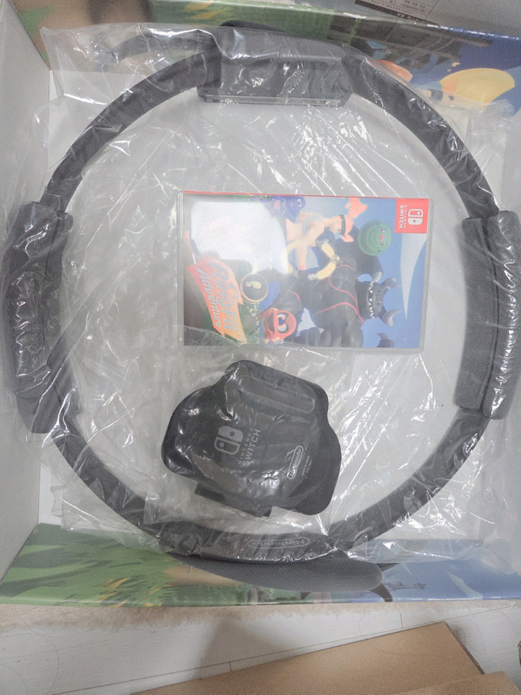 닌텐도 스위치 동물의숲 에디션 +링피트 풀박스 이미지