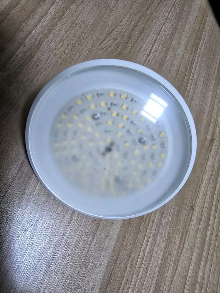 식물등 판매합니다 이미지