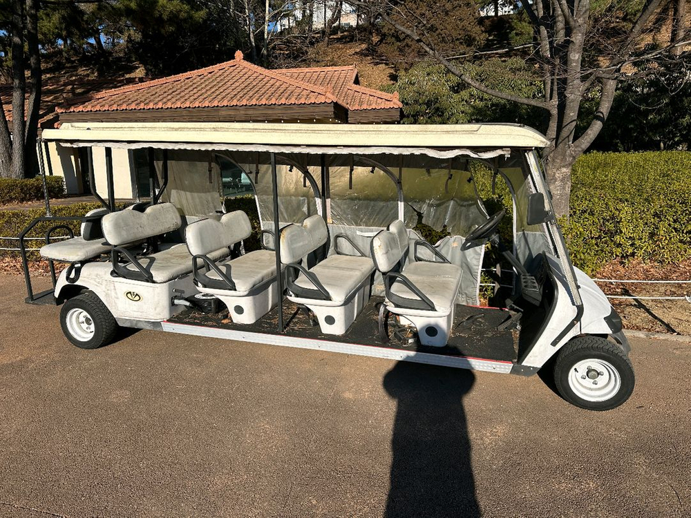 전동카트 골프카트 전동카 농촌 캠핑장 10인승 이미지