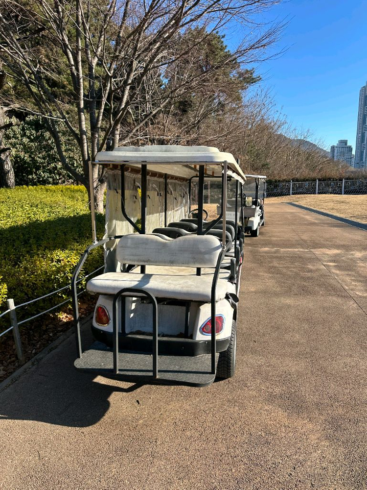 전동카트 골프카트 전동카 농촌 캠핑장 10인승 이미지