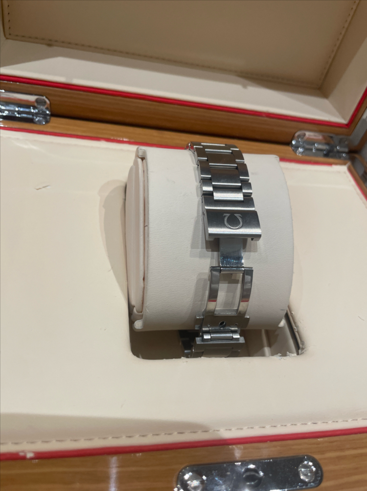 오메가 씨마스터 아쿠아테라 38mm 그레이 이미지