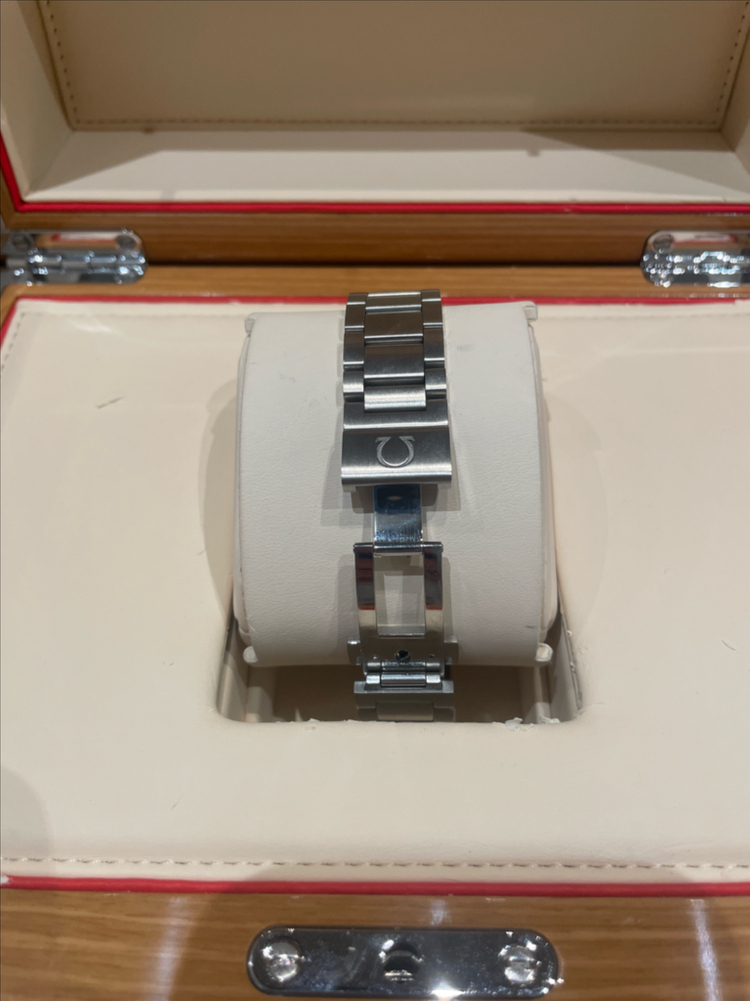 오메가 씨마스터 아쿠아테라 38mm 그레이 이미지