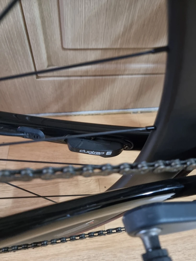 TREK 에몬다 SL6 Pro (50)팝니다 이미지