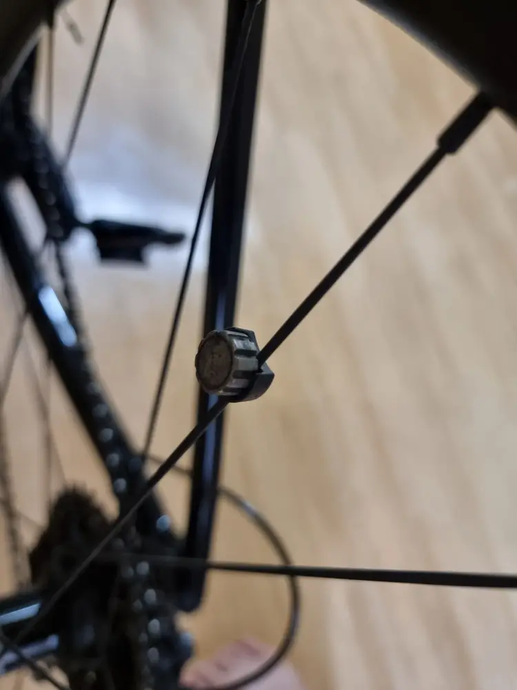 TREK 에몬다 SL6 Pro (50)팝니다 이미지