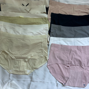 여성 팬티 이미지