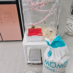 피그미다람쥐 케이지 풀셋트 성체한쌍 이미지