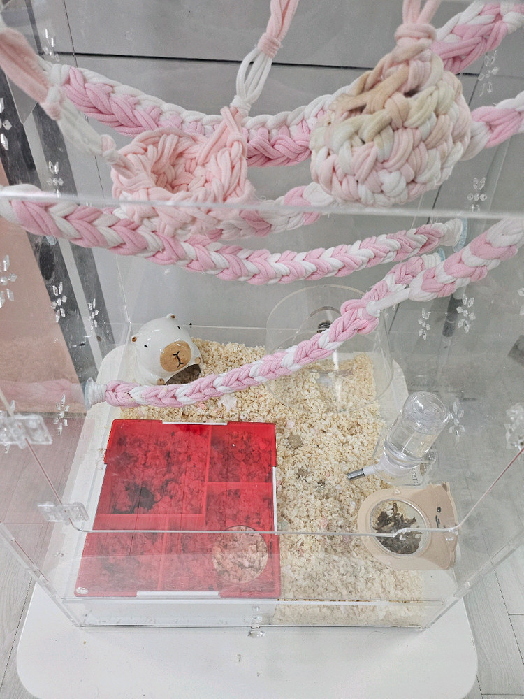 피그미다람쥐 케이지 풀셋트 성체한쌍 이미지