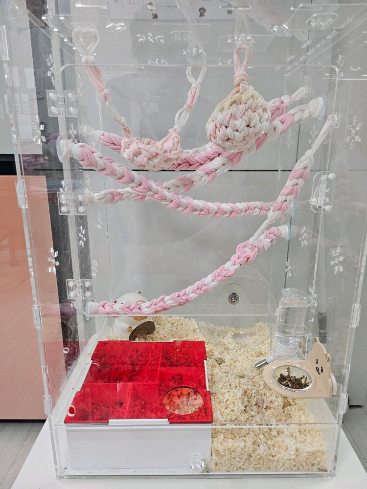 피그미다람쥐 케이지 풀셋트 성체한쌍 이미지