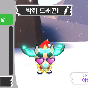 입양하세요 펫 메가네온 박쥐 드래곤(메박)판매합니다 이미지