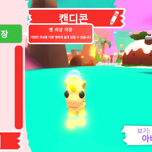 입양하세요 펫 메가네온 캔디콘 판매합니다 이미지