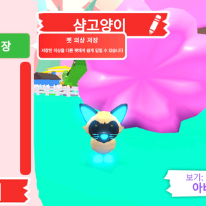 입양하세요 펫 메가네온 샴고양이(메샴)판매합니다 이미지