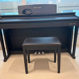 영창 디지털피아노 이미지