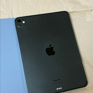 아이패드프로 11인치 M4 256GB 5G 셀룰러 이미지