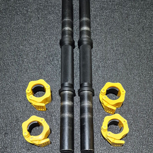 (택포) 헬스프라자 무쇠 덤벨봉 덤벨바 경량봉 아령봉 이미지