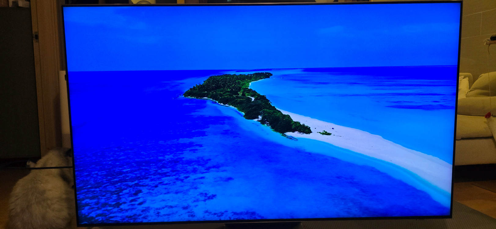 삼성 65인치 QLED TV 팝니다. 이미지